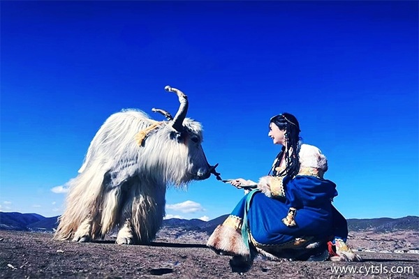 去西藏要多少預(yù)算
